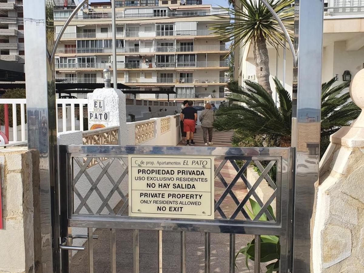 First Line Apartment With 3 Bedrooms And Seaviews ベニドルム エクステリア 写真